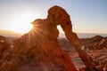 Valley of Fire - Panoramic sunrise view of the elephant rock surrounded by red and orange Aztec Sandstone Rock formations, Nevada Royalty Free Stock Photo