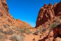 Valley of Fire - Panoramic view of red Aztek sandstone rock formations in Petroglyph Canyon along Mouse Tank hiking trail, Nevada Royalty Free Stock Photo