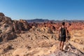 Valley of Fire - Rear view of man at Silica Dome viewpoint overlooking the Valley of Fire State Park in Mojave desert, Nevada, USA Royalty Free Stock Photo