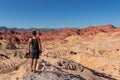 Valley of Fire - Rear view of man at Silica Dome viewpoint overlooking the Valley of Fire State Park in Mojave desert, Nevada, USA Royalty Free Stock Photo