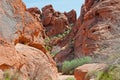 Valley of fire state park nevada mouse tank canyon Royalty Free Stock Photo