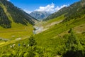 Valley of flowers at Kashmir great lakes trek in Sonamarg town, India. Royalty Free Stock Photo