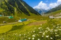 Valley of flowers at Kashmir great lakes trek in Sonamarg town, India. Royalty Free Stock Photo