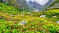 Valley of Flowers National Park, UNESCO natural monument, flower field landscapes, mountain background. AI generated.