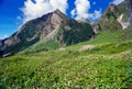 Valley of Flowers, Uttaranchal Uttarakhand, India Royalty Free Stock Photo