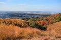 The valley of forest with falling color, in japan nara countryside