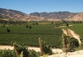 Valley full of vineyards, Chile, South America