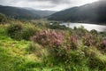 Valley in Galloway forest park Royalty Free Stock Photo