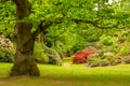 The Valley Gardens at Virginia Water Lake in Windsor Great Park, England