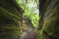 Valley with gorge with green moss and trees