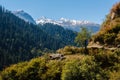 Valley in himalayan mountains coverd with forest in sunshine