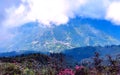 Valley landscape scenery nature outdoors sky beauty-in-nature tranquil-scene cloudy-sky meadow flowers environment forest tree day