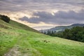 Valley in Las Trampas Regional Wilderness Park on a cloudy day, Contra Costa county, East San Francisco bay, California Royalty Free Stock Photo