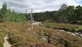 Valley of Lui Wter in Cairngorms National Park in Grampian Mountains in Scotland