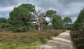 Valley of Lui Wter in Cairngorms National Park in Grampian Mountains in Scotland