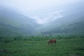 Valley in mist