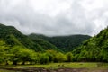 Valley in the mountain forest in rainy weather covered with low overcast clouds Royalty Free Stock Photo