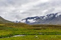 Valley and mountains in the subpolar urals on a summer day