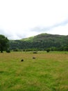 Valley near Dove Cottage Royalty Free Stock Photo