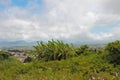 Valley in neighborhood of Trou aux Cerfs. Curepipe, Mauritius Royalty Free Stock Photo