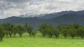 Valley Oltului near Sibiu Romania