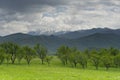 Valley Oltului near Sibiu Romania