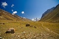 Valley of Pamir Royalty Free Stock Photo