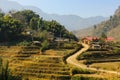 A valley with rice fields. Rice multi-stage gardens. Valley of the city of Sapa, Vietnam