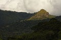 Mountain peak with forest and clouds