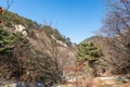 Valley with rocks, withered tree in the Bukhansan Mountain national park in the winter season in Seoul of South Korea Royalty Free Stock Photo