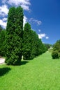 Valley of roses. Kislovodsk. Russia Royalty Free Stock Photo