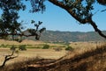 Valley at Santa Ysabel Royalty Free Stock Photo