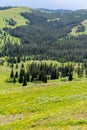Valley scenery along Dunraven Pass, the highest road in Yellowstone National Park Wyoming