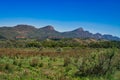 Valley with scrubland, foothills and barren mountains, Flinders Ranges, Australia Royalty Free Stock Photo
