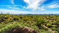 The Valley of the Sun with the city of Phoenix viewed from Usery Mountain Reginal Park Royalty Free Stock Photo