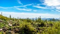 The Valley of the Sun with the city of Phoenix viewed from Usery Mountain Reginal Park Royalty Free Stock Photo