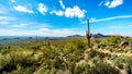 The Valley of the Sun with the city of Phoenix viewed from Usery Mountain Reginal Park