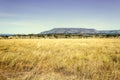 Valley in Tanzania