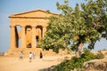 Valley of the Temples (Valle dei Templi), an ancient Greek Temple built in the 5th century BC with a winery tree