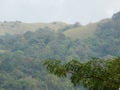 Valley view between the leaves Royalty Free Stock Photo