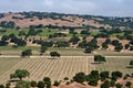 Valley of vineyards