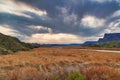 The valley and wetlands of the Bill Williams River, Arizona