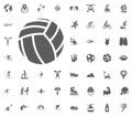 Valleyball ball icon. Sport illustration vector set icons. Set of 48 sport icons.