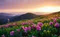 Valleys during sunset. Majestic Carpathian mountains. Beautiful landscape. Breathtaking view Royalty Free Stock Photo