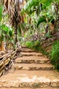 VallÃÂ©e de Mai Nature Reserve, stone steps trail through ancient rainforest, Praslin, Seychelles. Royalty Free Stock Photo