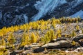 Valmalenco IT - Panoramic autumn aerial Royalty Free Stock Photo