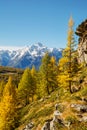 Valmalenco IT - Panoramic autumn aerial