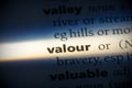 Valour Royalty Free Stock Photo