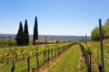 Valpolicella hills landscape, Italian viticulture area, Italy Royalty Free Stock Photo