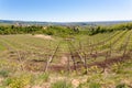 Valpolicella hills landscape, Italian viticulture area, Italy Royalty Free Stock Photo